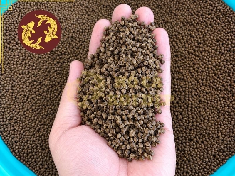 Cách Trộn Thuốc Vào Thức Ăn Cá Koi Đúng Cách, Hiệu Quả 2 Trước khi thực hiện cách trộn thuốc vào thức ăn cá Koi, nên chuẩn bị lượng thức ăn vừa đủ cho một lần hoặc một khoảng thời gian ngắn