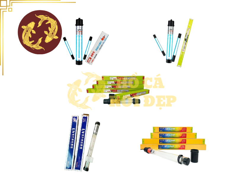 Tuổi Thọ Bóng Đèn UV Hồ Koi: Dấu Hiệu Bóng Yếu Và Cách Kiểm Tra 5 Một số cách để kiểm tra định kỳ đèn UV