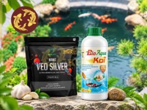 Vi sinh nước và vi sinh bột