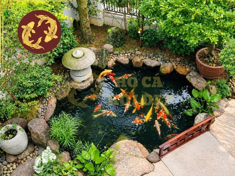 Vi Sinh Nước Và Vi Sinh Bột: Cách Phân Biệt Và Sử Dụng Đúng Cách 2 Khi hệ vi sinh phát triển ổn định, chất lượng nước có điều kiện được duy trì tốt hơn, đặc biệt trong hệ thống có lượng cá và lượng thức ăn tương đối cao.