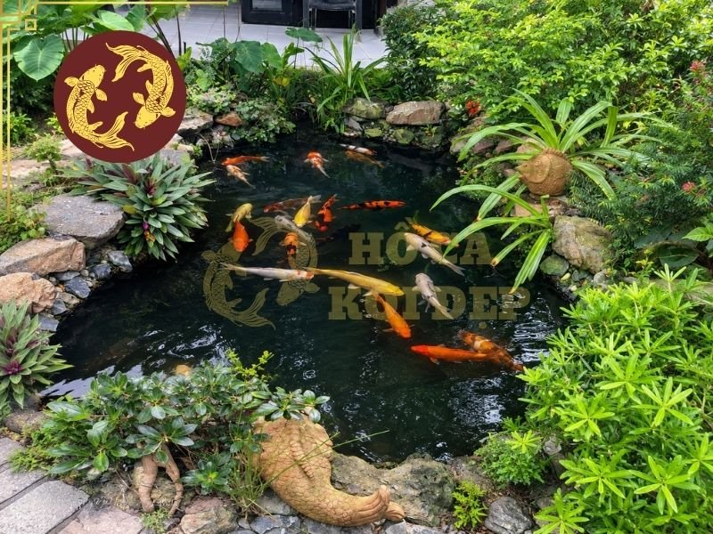Vi Sinh Nước Và Vi Sinh Bột: Cách Phân Biệt Và Sử Dụng Đúng Cách 3 Chú ý cách sử dụng đúng cho mỗi loại vi sinh chuyên biệt