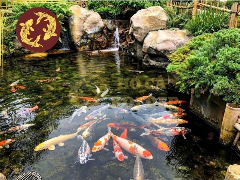 Vi Sinh Nước Và Vi Sinh Bột: Cách Phân Biệt Và Sử Dụng Đúng Cách 6 vi sinh nuoc va vi sinh bot 6