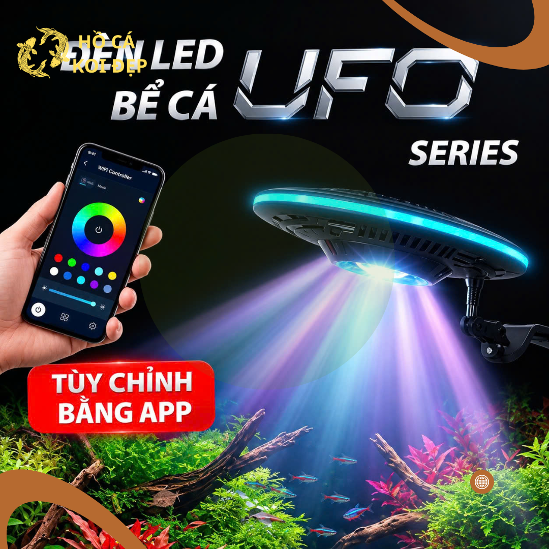 Đèn UFO Baoyu 70W 7 Tat ca co tai Ho Ca Koi Dep 2