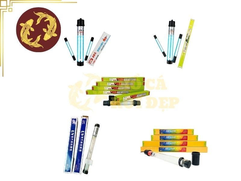 Đèn UV Hãng Nào Tốt? Các Thương Hiệu Được Sử Dụng Phổ Biến 6 Người nuôi cần đối chiếu công suất với thể tích nước, lưu lượng qua đèn và mục đích sử dụng theo thông tin của nhà sản xuất.