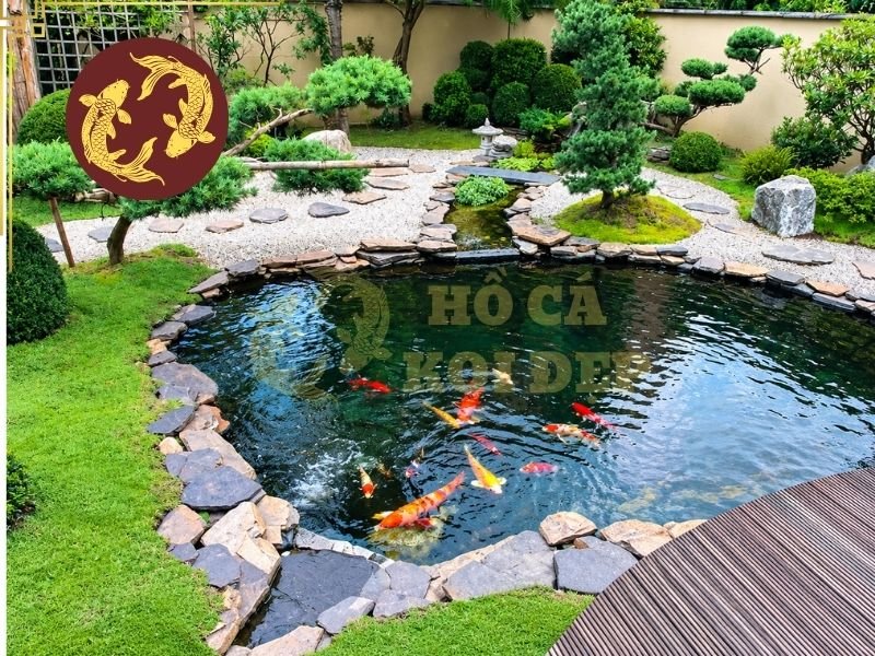 Hồ Xi Măng Và Hồ Bạt Cho Cá Koi Khác Nhau Như Thế Nào? 1 Phân loại hai khái niệm về hồ xi măng và hồ bạt cho cá koi