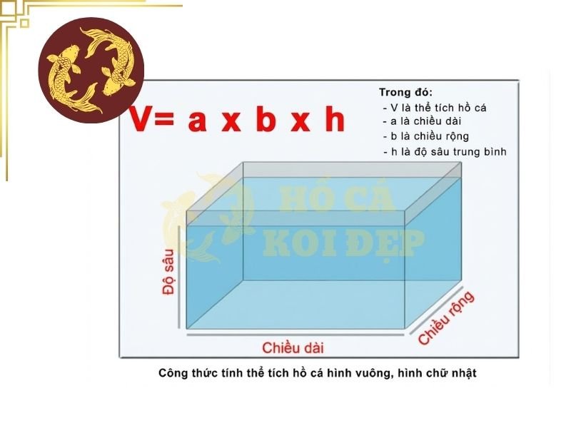 Nên Mua Máy Bơm Hồ Koi Hãng Nào? Gợi Ý Các Thương Hiệu Đáng Tham Khảo 3 Công thức tính thể tích hồ để lựa chọn mua máy bơm hồ koi phù hợp