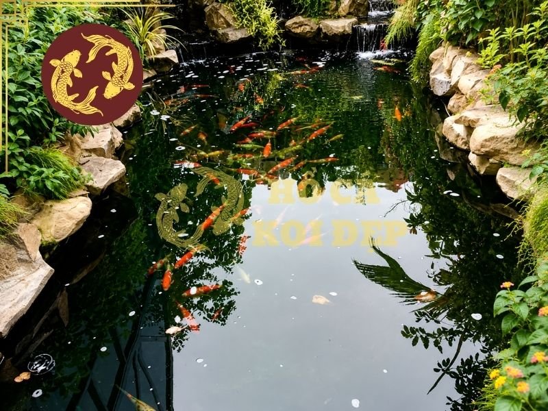 Nên Mua Máy Bơm Hồ Koi Hãng Nào? Gợi Ý Các Thương Hiệu Đáng Tham Khảo 4 Một số lưu ý khi lựa chọn mua máy bơm cho hồ cá koi