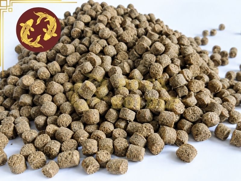 Top Cám Koi 2026 Được Sử Dụng Phổ Biến Hiện Nay 8 Một số lưu ý trong quá trình lựa chọn và sử dụng các dòng top cám koi 2026