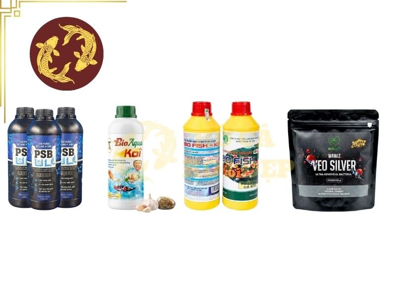 Top Men Vi Sinh Hồ Cá Koi Được Sử Dụng Phổ Biến Hiện Nay 1 Một số nhóm vi sinh có khả năng tham gia phân hủy chất hữu cơ, trong khi các nhóm vi khuẩn nitrat hóa tham gia quá trình chuyển hóa ammonia và nitrite trong chu trình nitrogen.