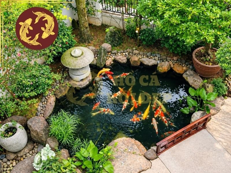 Top Men Vi Sinh Hồ Cá Koi Được Sử Dụng Phổ Biến Hiện Nay 6 Men vi sinh cần được sử dụng đúng liều lượng theo hướng dẫn của từng sản phẩm.