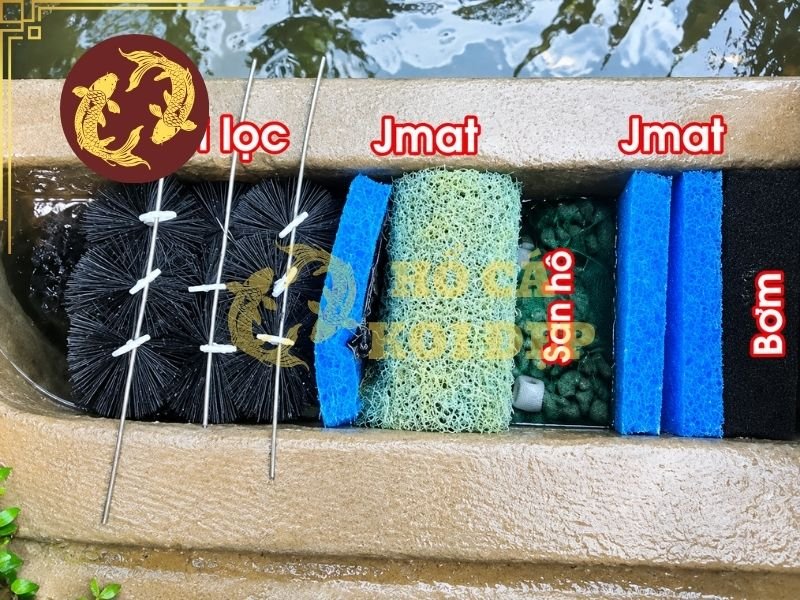 Top Vật Liệu Lọc Hồ Koi Tốt Nhất Hiện Nay Và Cách Sử Dụng Hiệu Quả 6 Việc phân chia chức năng giúp hạn chế cặn thô đi vào ngăn sinh học và giúp top vật liệu lọc hồ koi tốt nhất được sử dụng đúng mục đích.