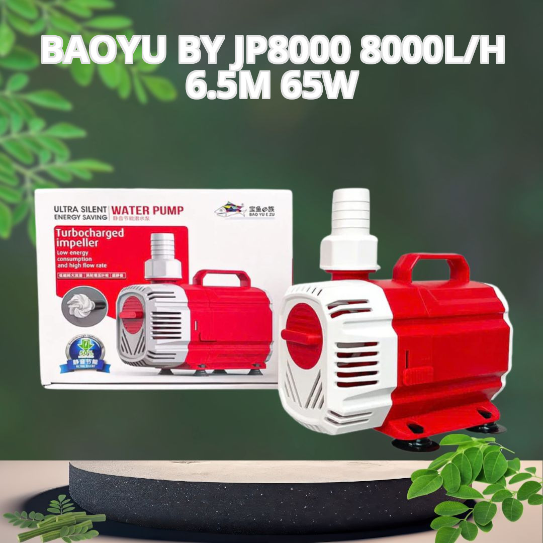 Máy Bơm Baoyu BY-JP8000 – 8000L/h, Cột Áp 6.5m, Công Suất 65W