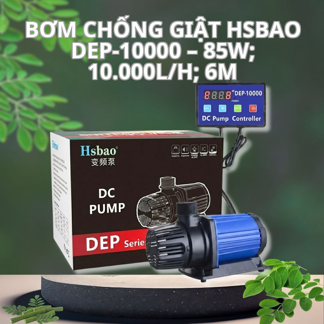 Bơm Chống Giật HSBAO DEP-10000 – 85W; 10.000L/H; 6M