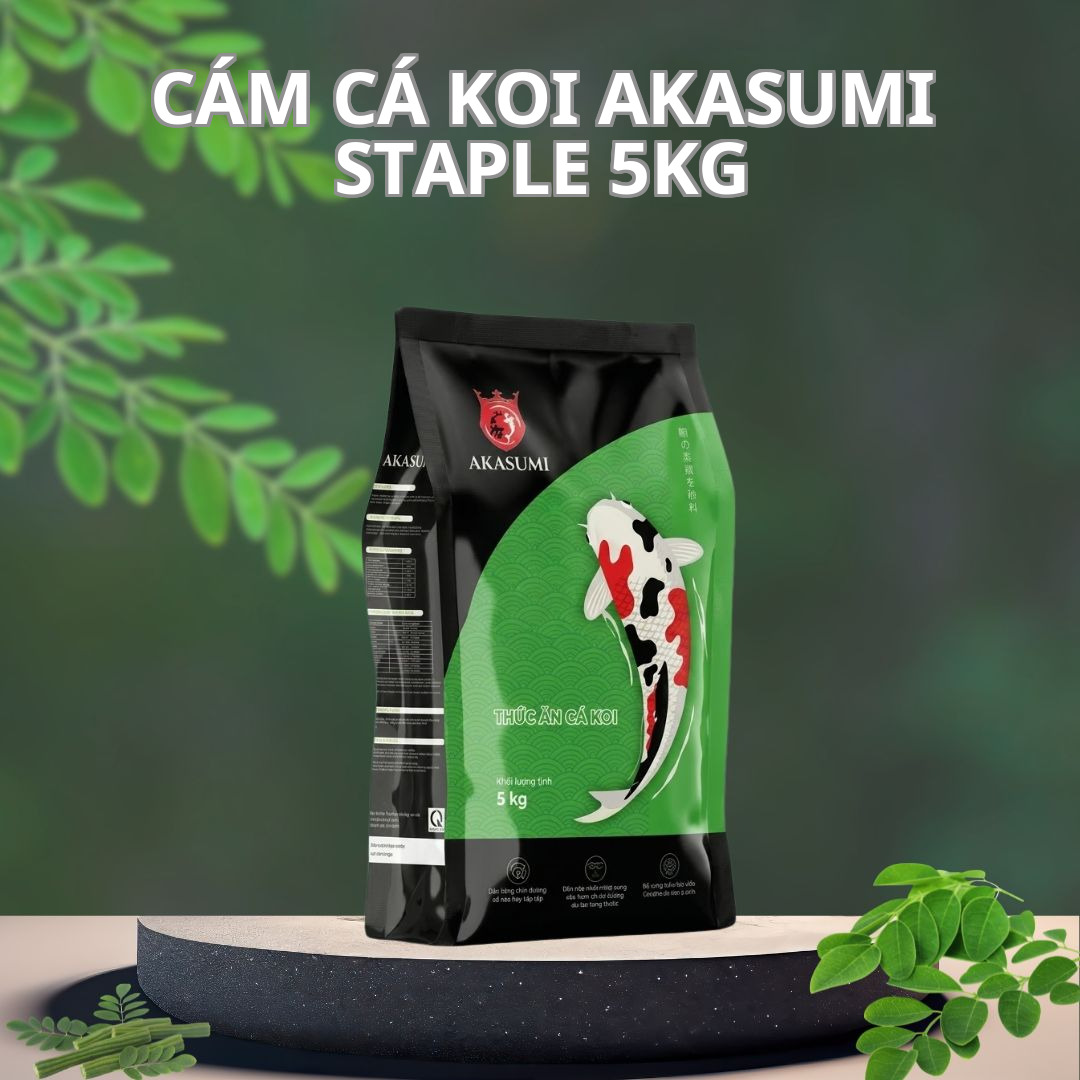 Cám Cá Koi Akasumi Staple 5KG