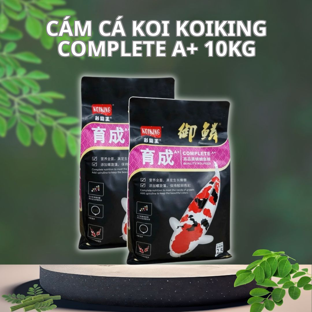 Cám Cá Koi KoiKing Complete A+ 10Kg