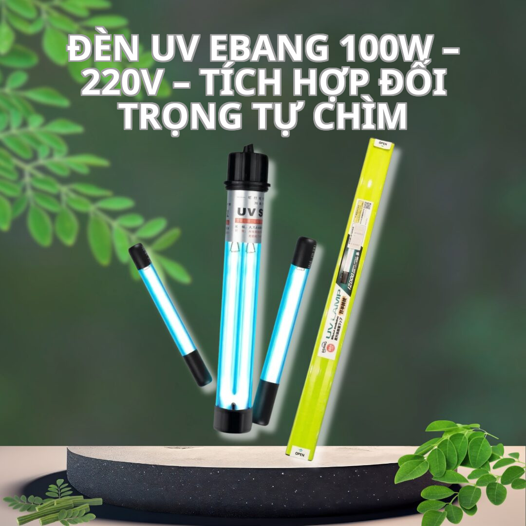 Đèn UV Ebang 100W – 220V – Tích Hợp Đối Trọng Tự Chìm