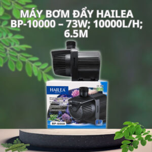 Máy bơm đẩy Hailea BP-10000 – 73W; 10000L/H; 6.5m