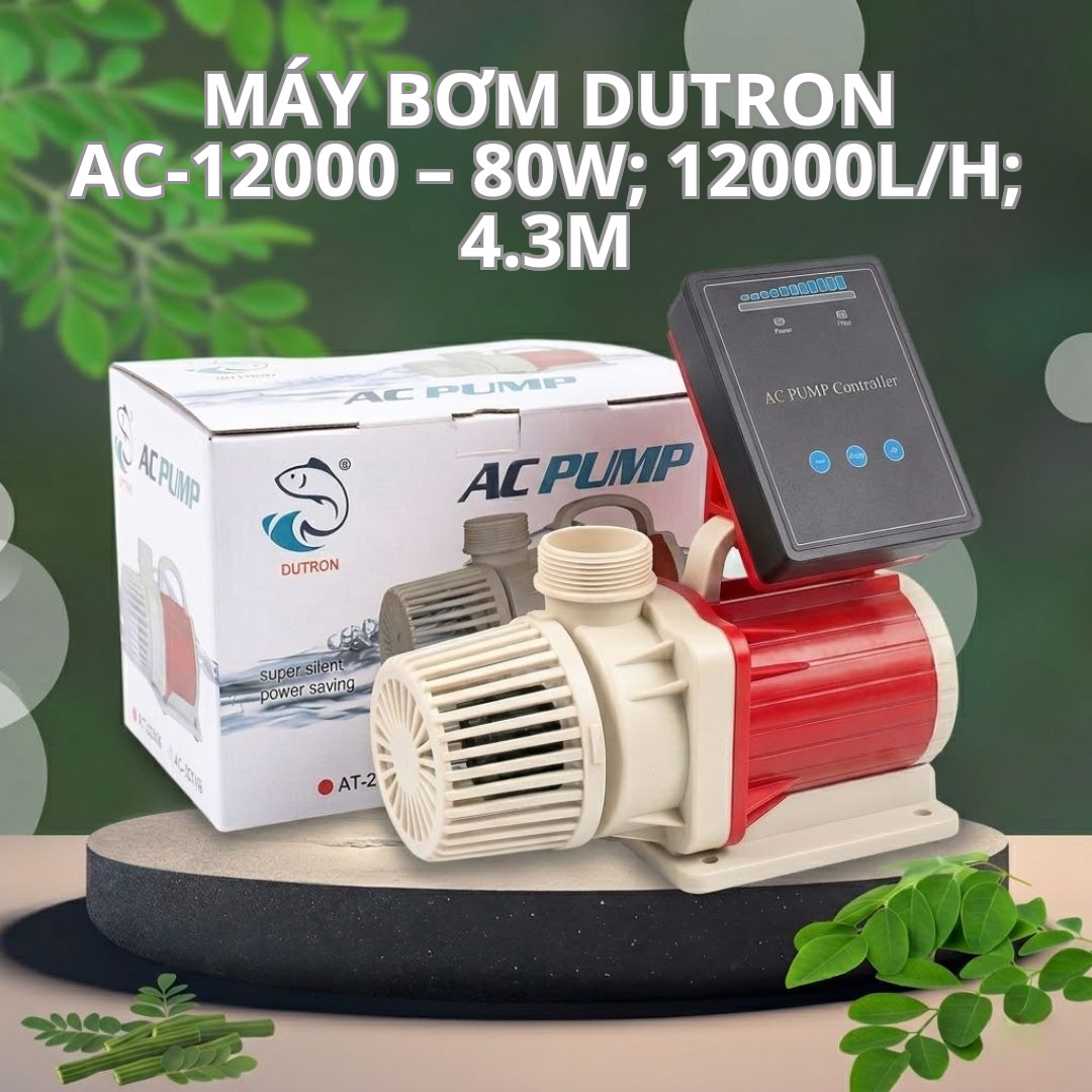 Máy Bơm DUTRON AC-12000 – 80W; 12000L/h; 4.3m