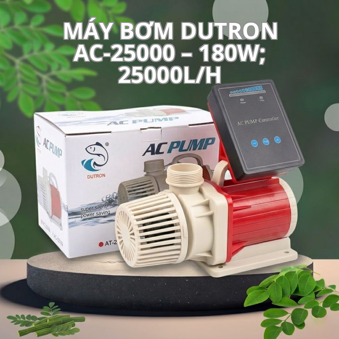 Máy Bơm DUTRON AC-25000 – 180W; 25000L/h
