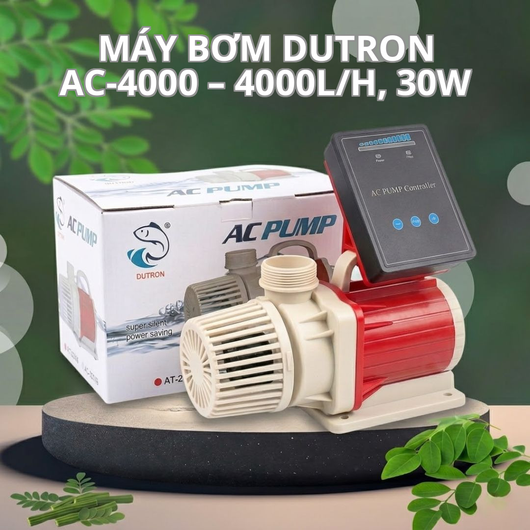 Máy Bơm DUTRON AC-4000 – 4000L/H, 30W