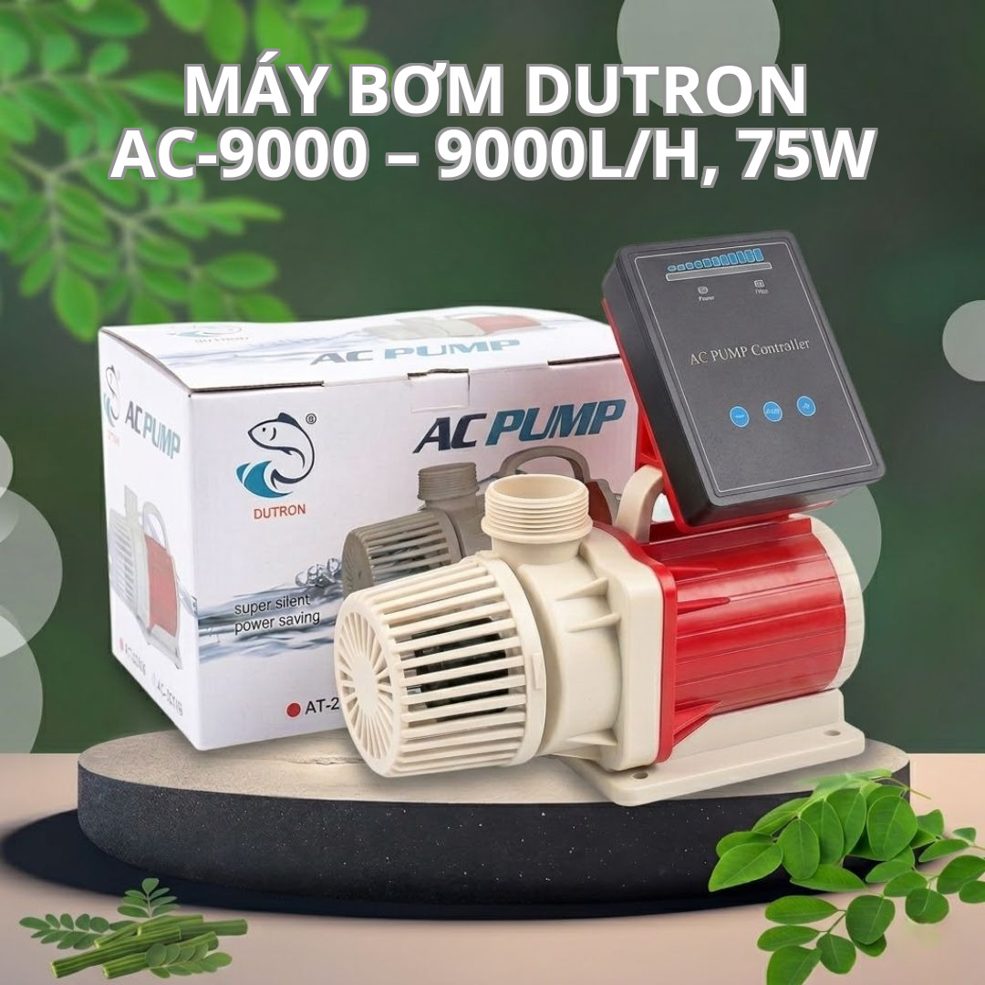 Máy Bơm DUTRON AC-9000 – 9000L/H, 75W