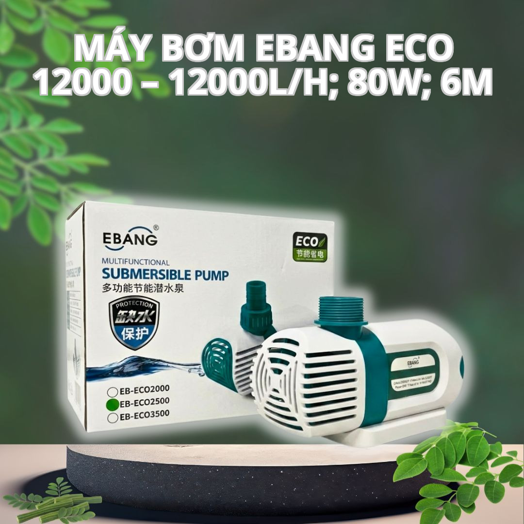 Máy Bơm Đẩy EBANG ECO 12000 – 12000L/H; 80W; 6m