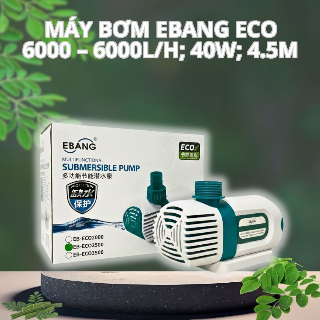 Máy Bơm Đẩy EBANG ECO 6000 – 6000L/H; 40W; 4.5m