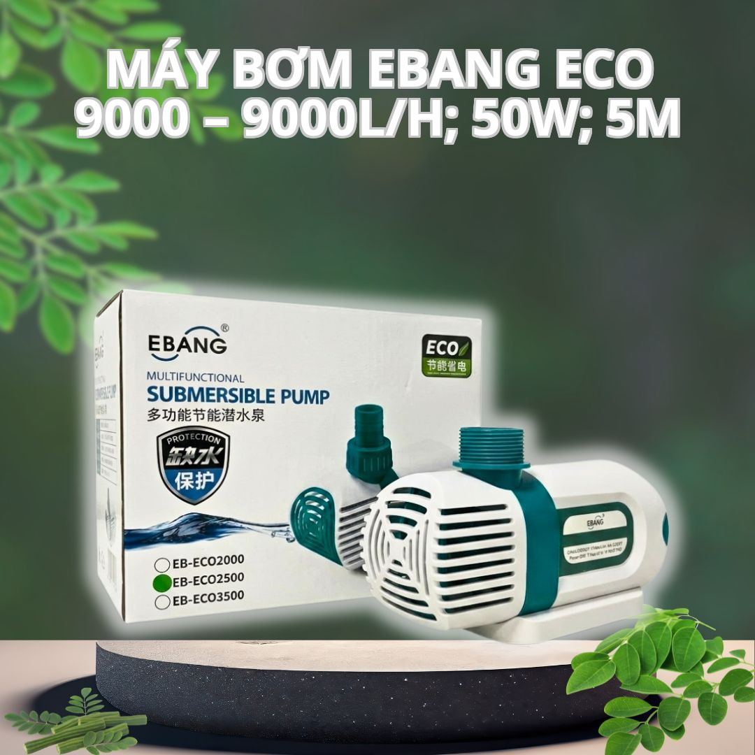 Máy Bơm Đẩy EBANG ECO 9000 – 9000L/H; 50W; 5m
