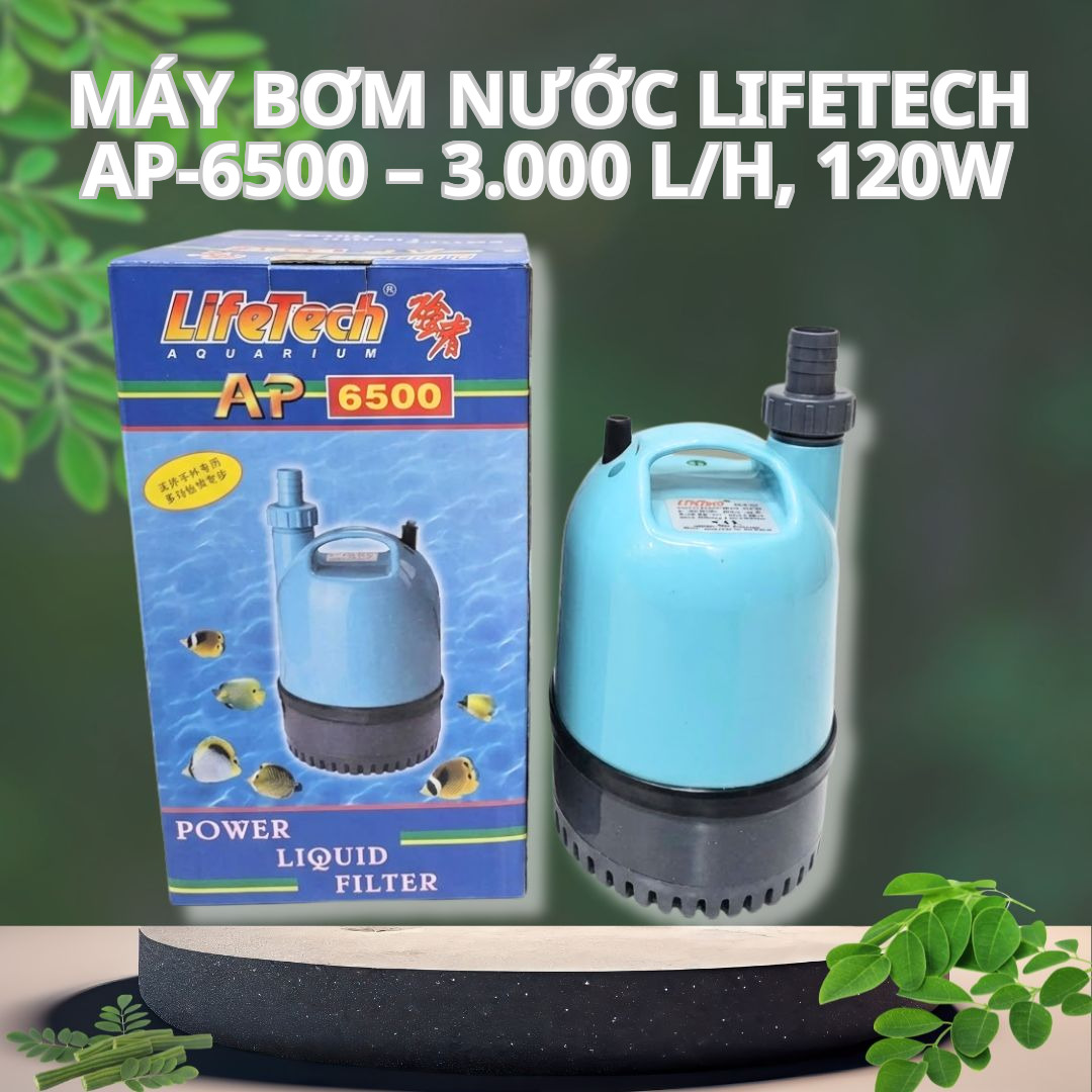 Máy Bơm Nước Lifetech AP-6500 – 3.000 L/h, 120W