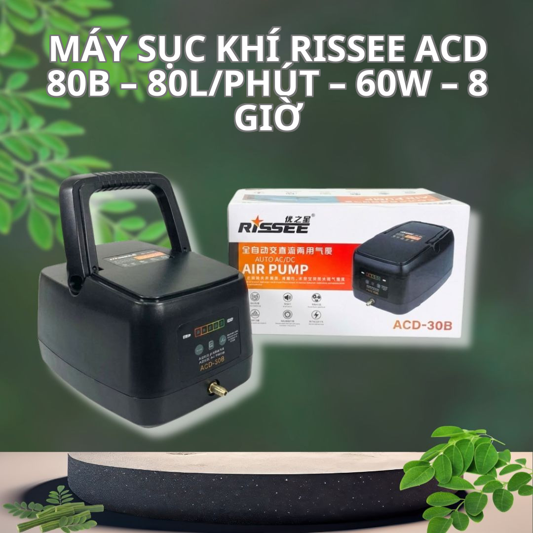 Máy Sục Khí Tích Điện Rissee ACD-80B – 80L/phút – 60W – 8 Giờ