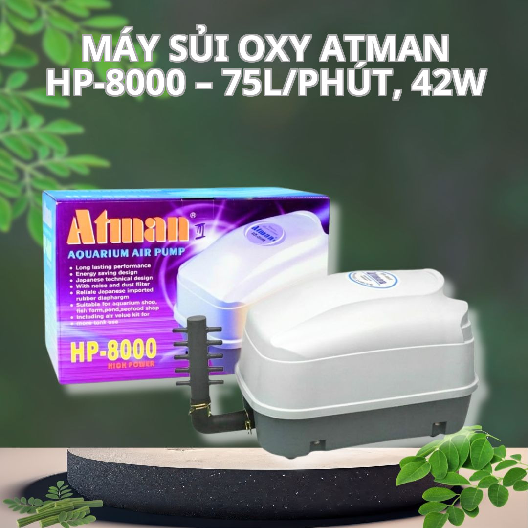 Máy Sủi Oxy Atman HP-8000 – 75L/phút, 42W