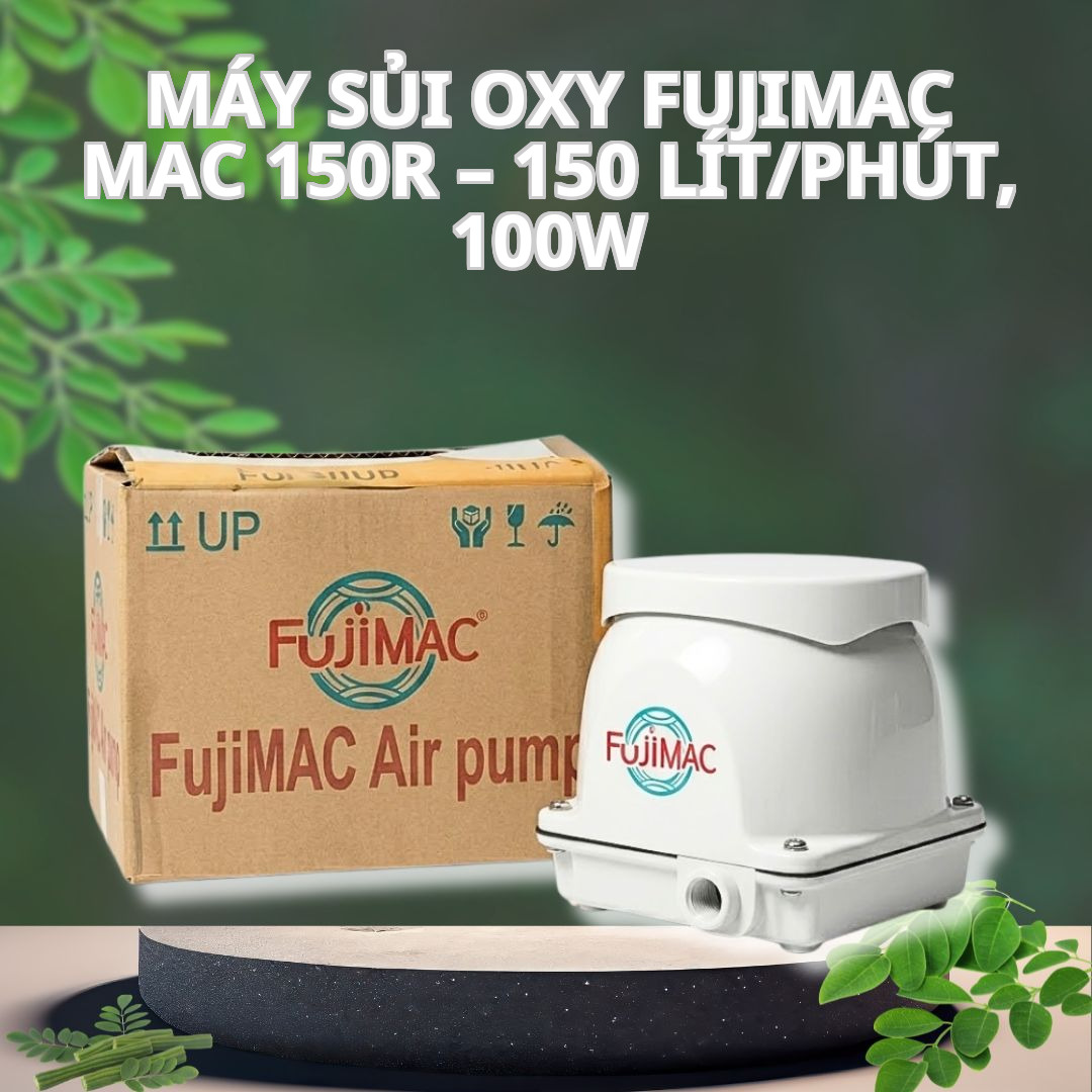 Máy Sủi Oxy Fujimac MAC 150R – 150 Lít/Phút, 100W