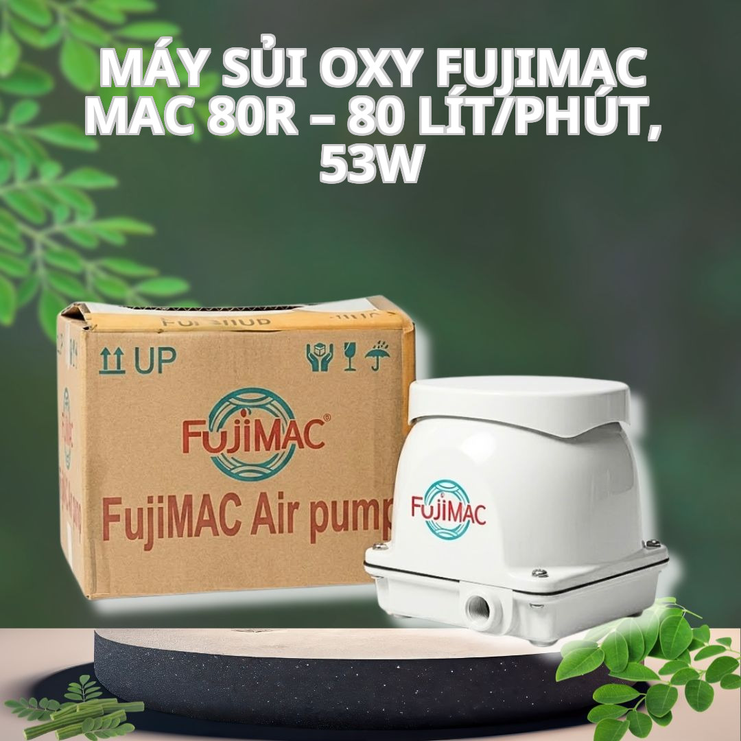 Máy Sủi Oxy Fujimac MAC 80R – 80 Lít/Phút, 53W