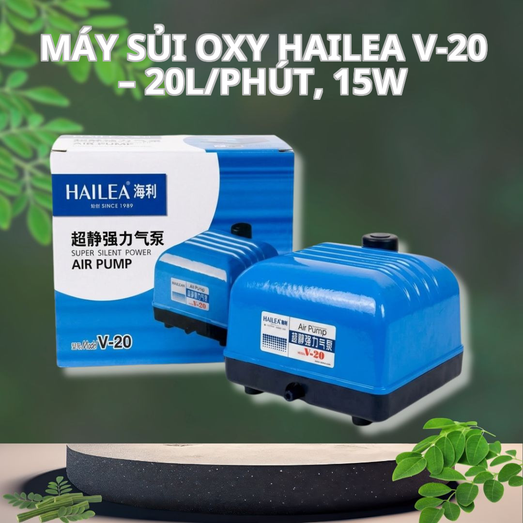 Máy Sủi Oxy Hailea V-20 – 20L/phút, 15W