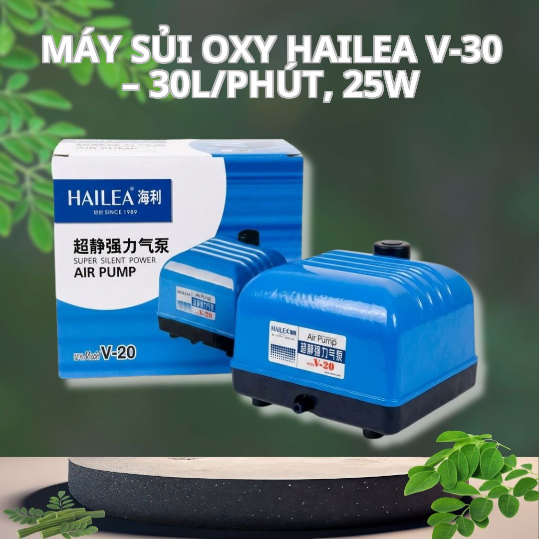 Máy Sủi Oxy Hailea V-30 – 30L/phút, 25W