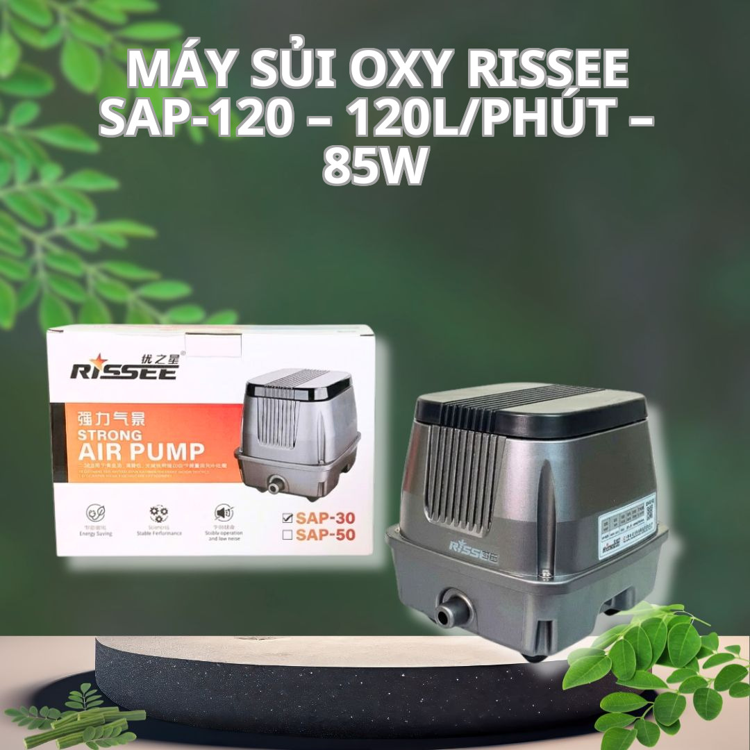 Máy Sủi Oxy Rissee SAP-120 – 120L/phút – 85W