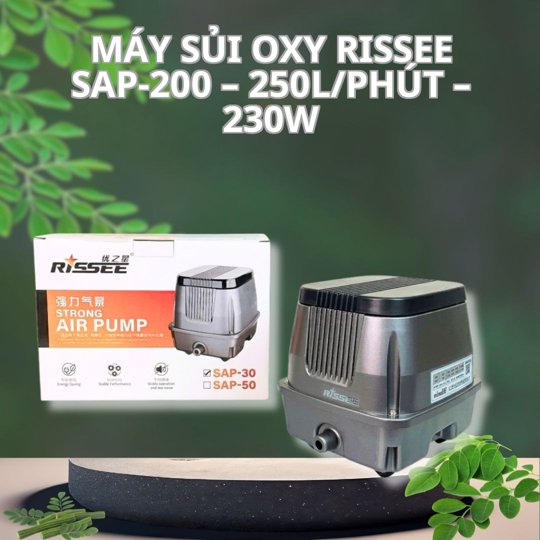 Máy Sủi Oxy Rissee SAP-200 – 250L/phút – 230W