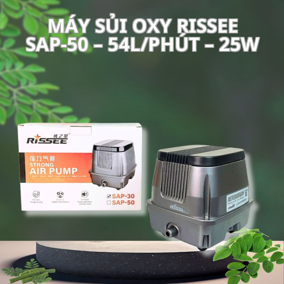 Máy Sủi Oxy Rissee SAP-50 – 54L/phút – 25W