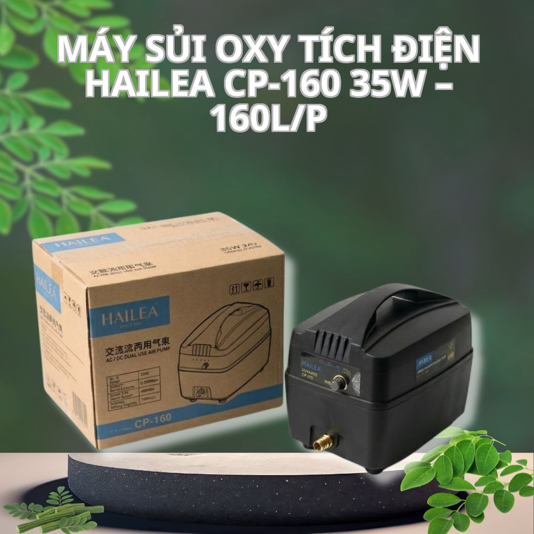 Máy sủi oxy tích điện Hailea CP-160 35W – 160L/P