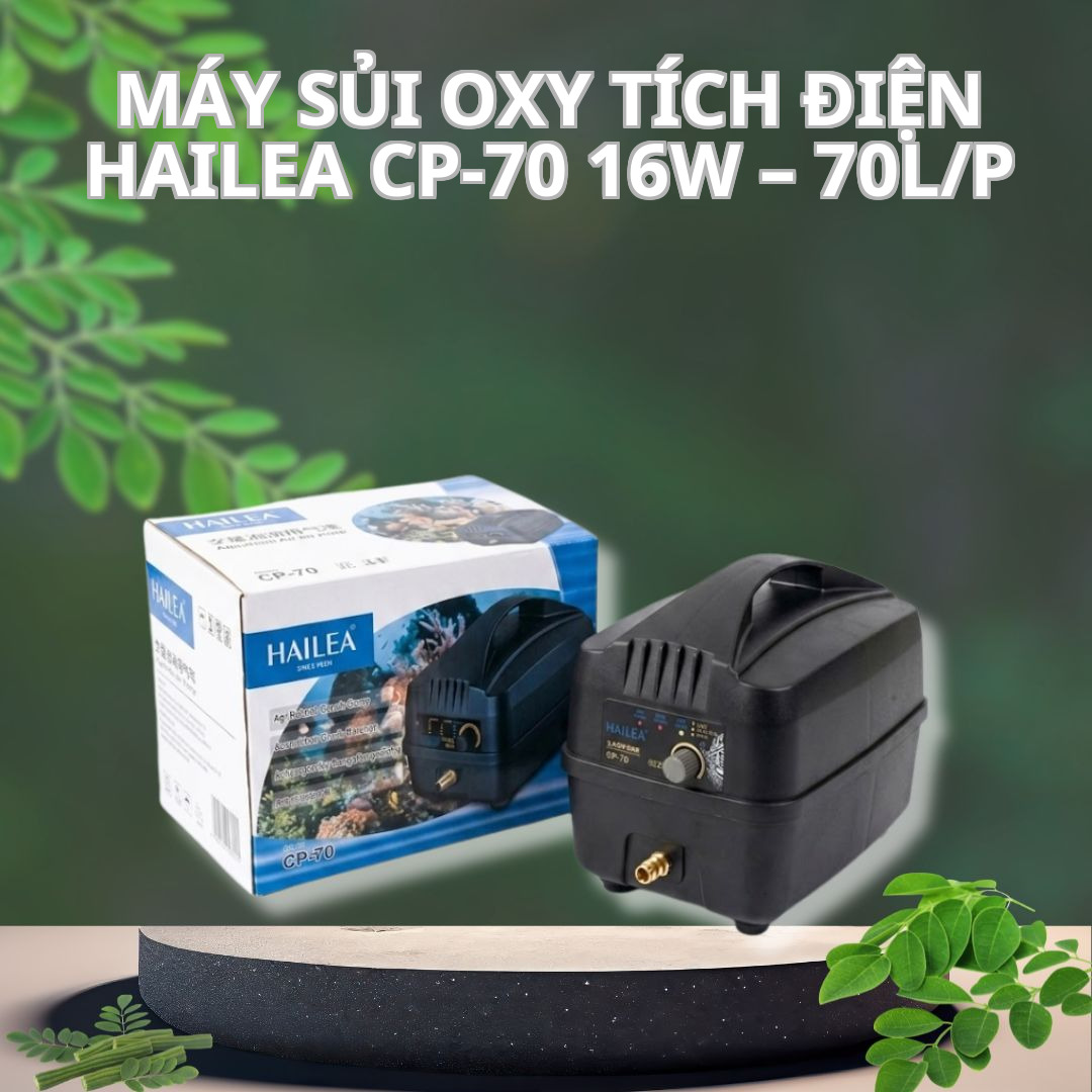 Máy sủi oxy tích điện Hailea CP-70 16W – 70L/P