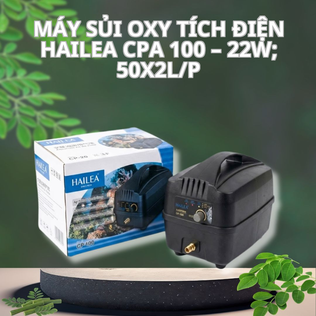 Máy Sủi Oxy Tích điện Hailea CPA 100 – 22W; 50x2L/P