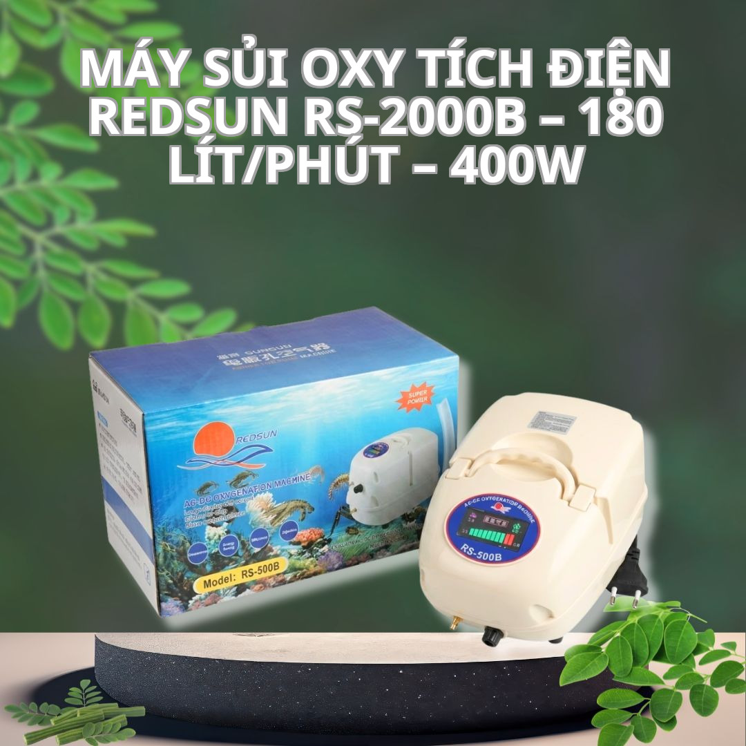 Máy Sủi Oxy Tích Điện Redsun RS-2000B – 180 Lít/Phút – 400W