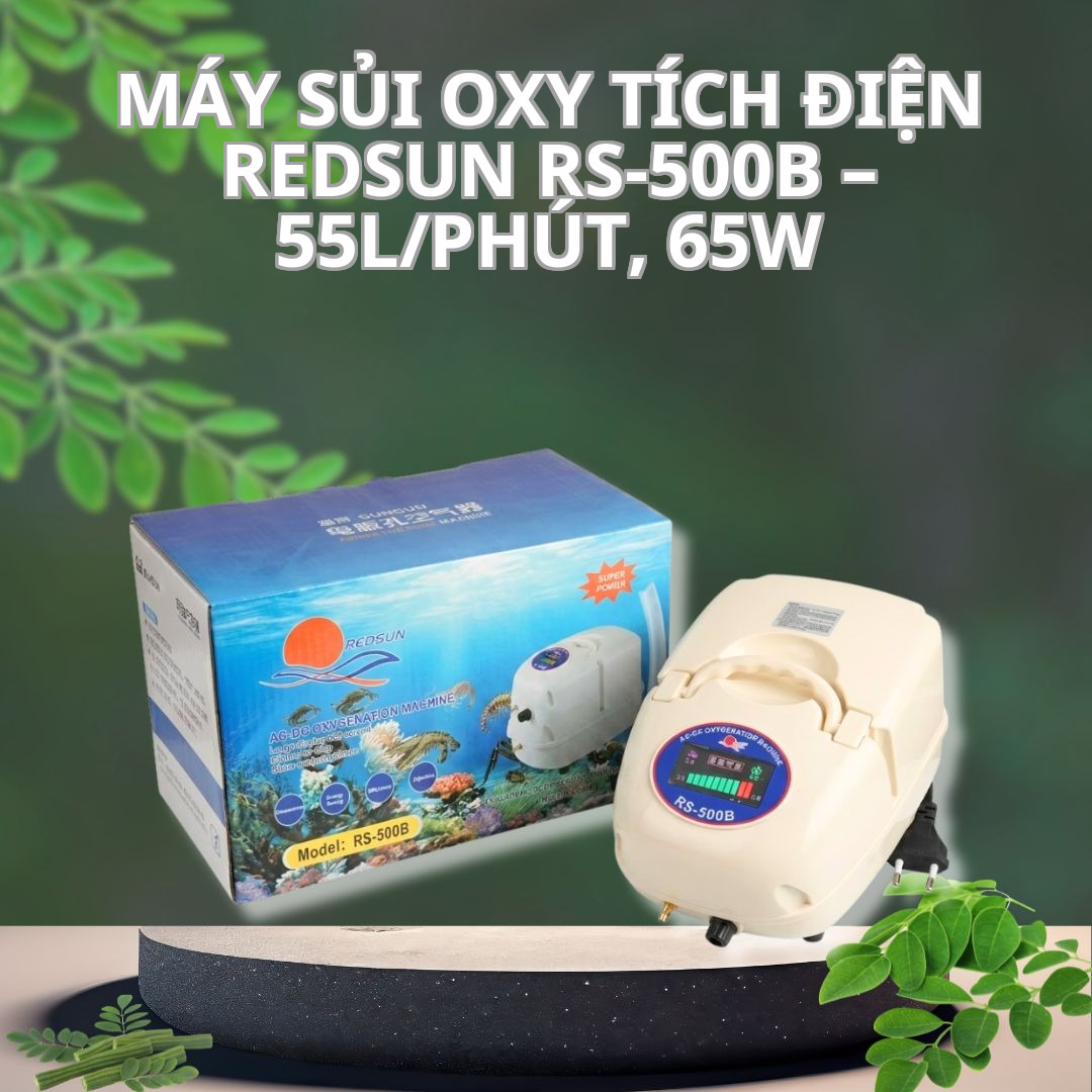 Máy Sủi Oxy Tích Điện Redsun RS-500B – 55L/phút, 65W
