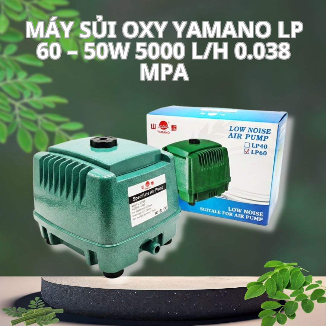 Máy Sủi Oxy Bể Cá Yamano LP-60 – 50W, 5000 L/h, 0.038 Mpa