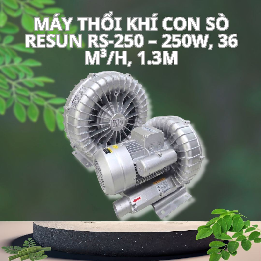 Máy Thổi Khí Con Sò Resun RS-250 – 250W, 36 m³/h, 1.3m