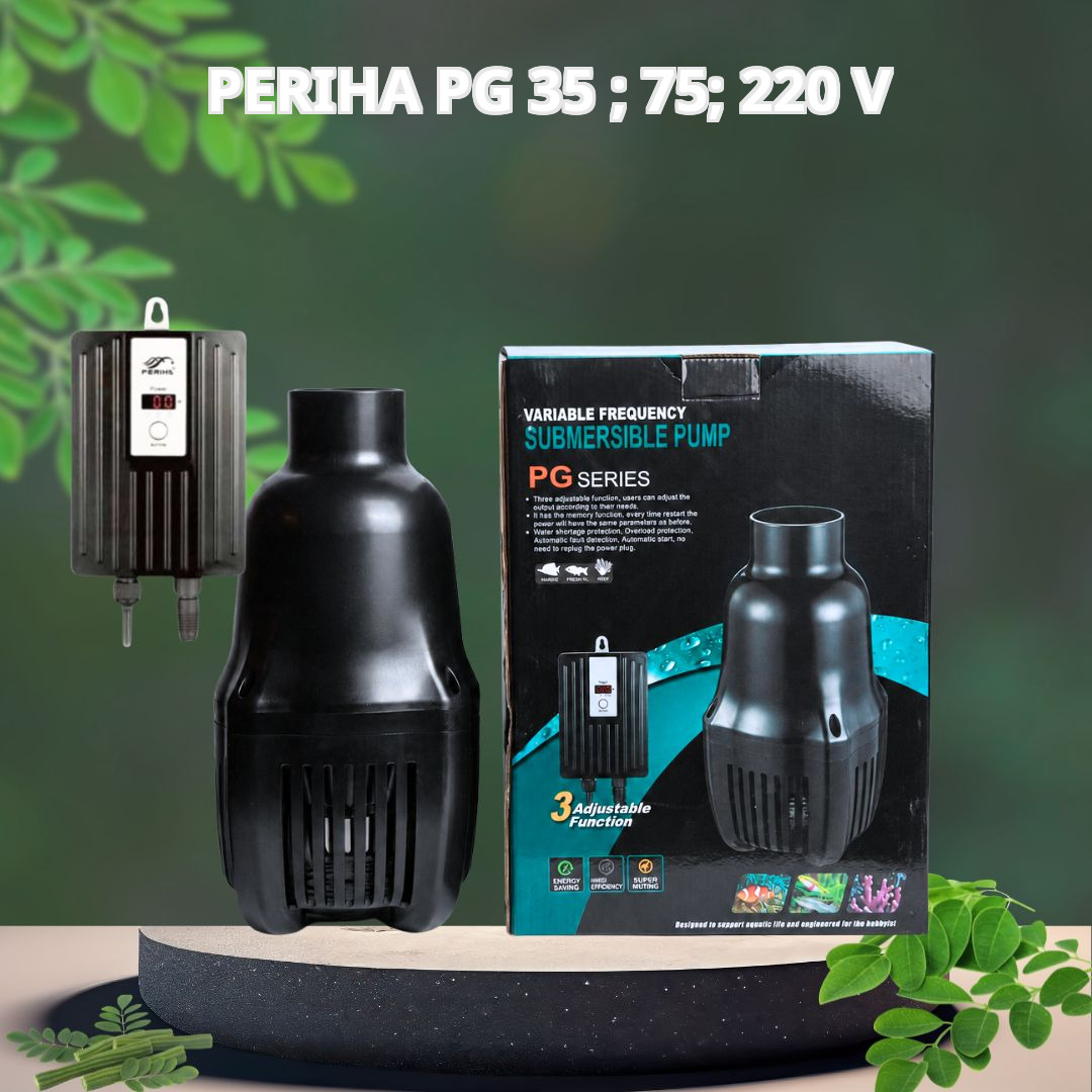 Máy Bơm Tạt Hồ Cá Koi Periha PG 35 – ∅75; 220-240V