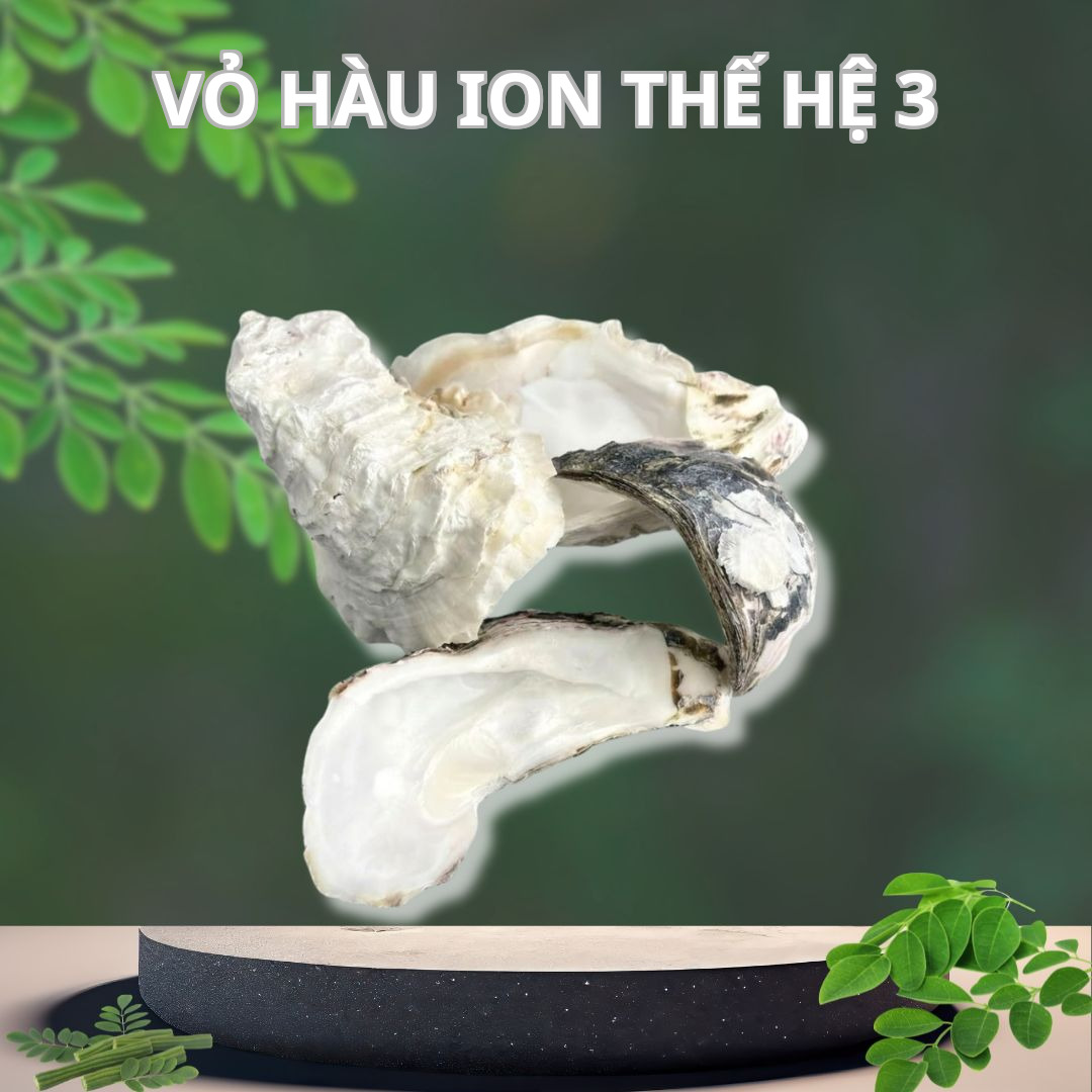 Vỏ Hàu Ion Thế Hệ 3 (Bao 10KG Không Xé Lẻ)